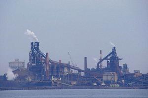 雨よけハウスで野菜の障害や病気対策