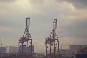 雨よけハウスを購入できるサイト