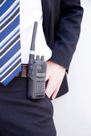 雨よけハウスを調査してみること